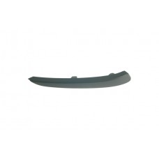 FRONT BUMPER MOULDING - BLACK (LH)